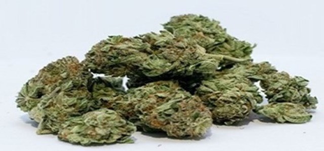 Khiron gains high-THC medical cannabis manufacturing quotas from TQG